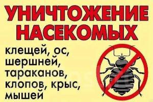 Уничтожение тараканов и клопов, муравьев. Дезинфекция и фумигация Новосибирск Город Новосибирск
